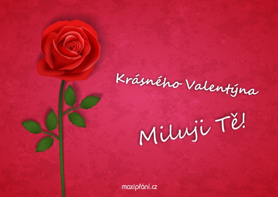 Pohlednice k Valentýnu s růžemi - přední strana Přání k Valentýnu - Růže - přední strana