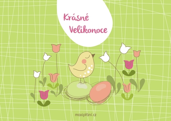 Velikonoční přání Kuřátko - přední strana Velikonoční pohlednice s kuřátkem - přední strana
